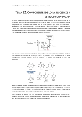 Tema 12.pdf