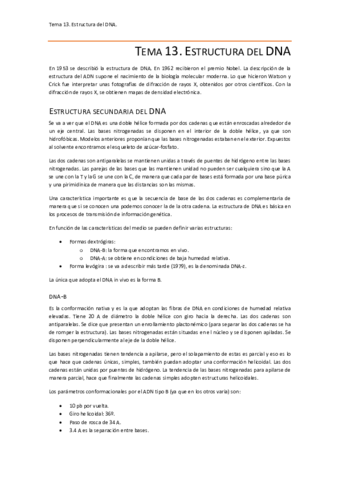 Tema 13.pdf