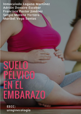 Suelo pélvico en el embarazo.pdf