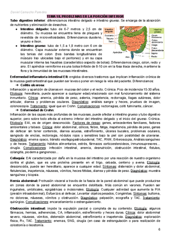 Adulto-II-Daniel-Camacho-Paredes-T18-PORCION-INFERIOR.pdf