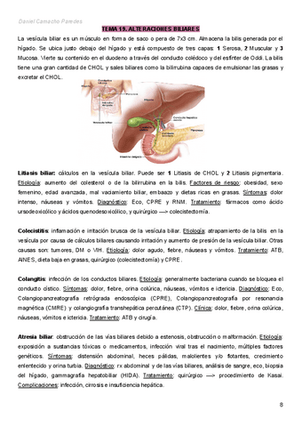 Adulto-II-Daniel-Camacho-Paredes-T19-BILIAR.pdf