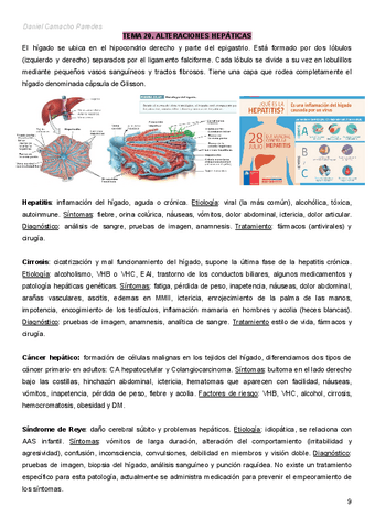 Adulto-II-Daniel-Camacho-Paredes-T20-HEPATICO.pdf