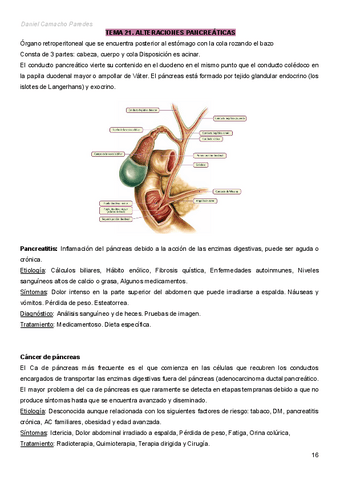 Adulto-II-Daniel-Camacho-Paredes-T21-PANCREAS.pdf