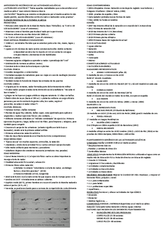 Apuntes-examen-de-natacion.pdf