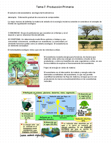 Tema-7.pdf