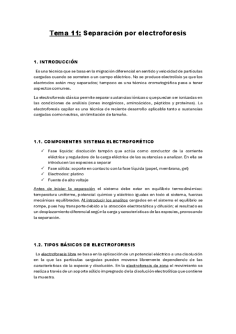 TEMA11.pdf