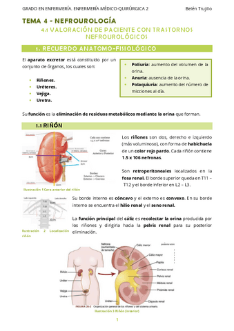 MQ2-Tema4-Nefrourologia-1Valoracion.pdf