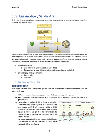 Tema-2.3.pdf