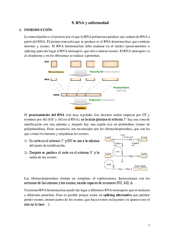 9.-RNA-y-enfermedad.pdf