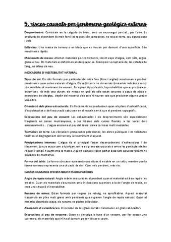 Riscos-causats-pels-fenomens-geologics-externs.pdf