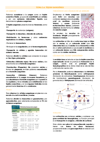 Tema 4 biología tisular, Tejido sanguíneo.pdf