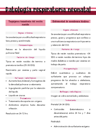 N8-PATOLOGIA-RESPIRATORIA-NEONATAL.pdf