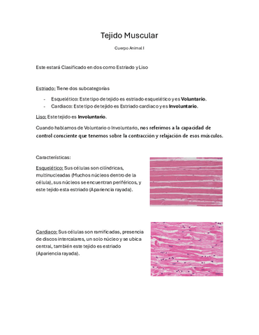 Tejido-Muscular.pdf
