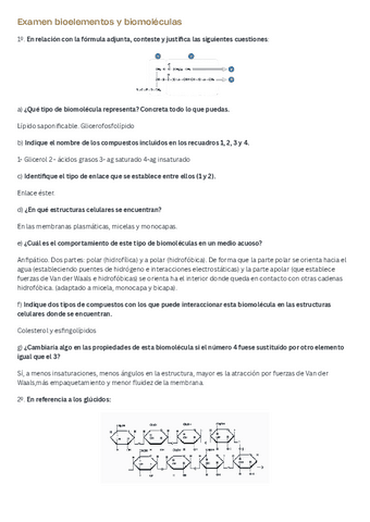 Examen-bioelementos-y-biomoleculas-2.pdf