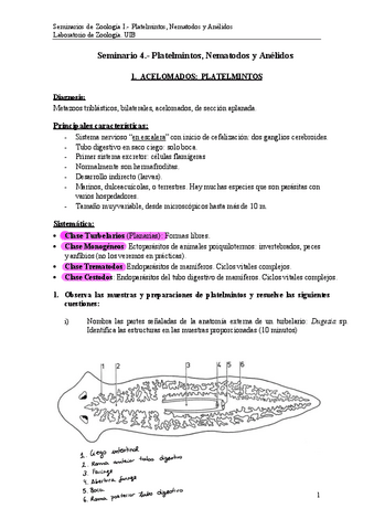 Seminari-4-Platelmintos-anelidos-y-nematodos.pdf