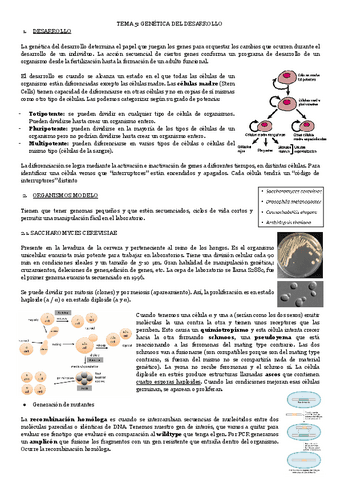 TEMA-5-GENETICA-DEL-DESARROLLO.pdf
