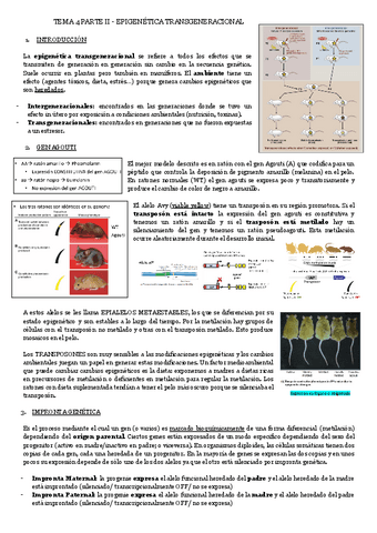 TEMA-4-PARTE-II-EPIGENETICA-TRANSGENERACIONAL.pdf