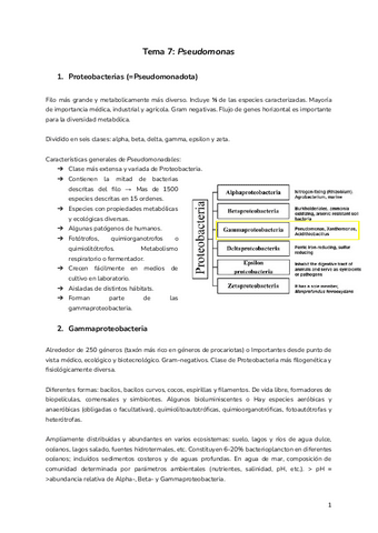 Tema-7-Pseudomonas.pdf