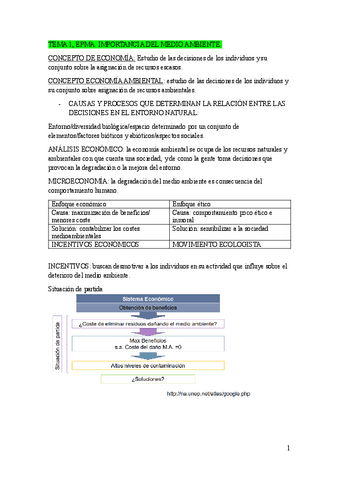 TEMARIO-COMPLETO-EPMA.pdf