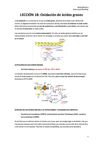 LECCION-18.-Oxidacion-de-acidos-grasos.pdf