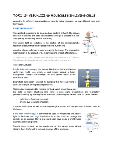 TOPIC-15-VISUALIZING-MOLECULES-IN-LIVING-CELLS.pdf