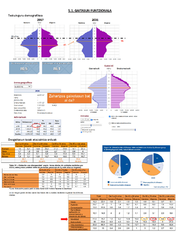 5.1.-Gaitasun-funtzionala.pdf