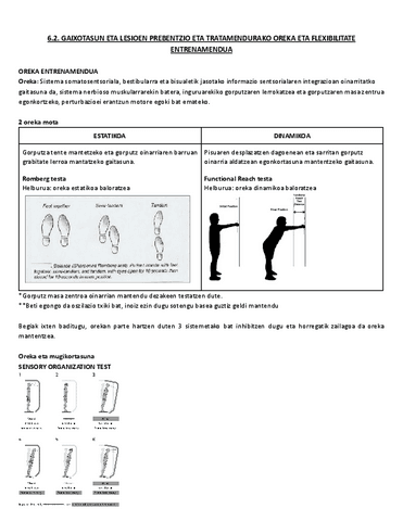 6.2.-Gaixotasun-eta-lesioen-prebentzio-eta-tratamendurako-oreka-eta-flexibilitate-entrenamendua.pdf