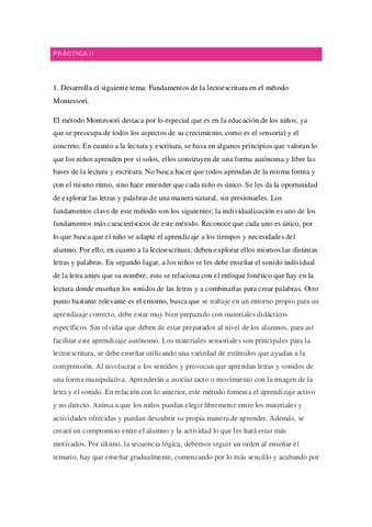 METODO-MONTESSORI-PRACTICA-II.pdf