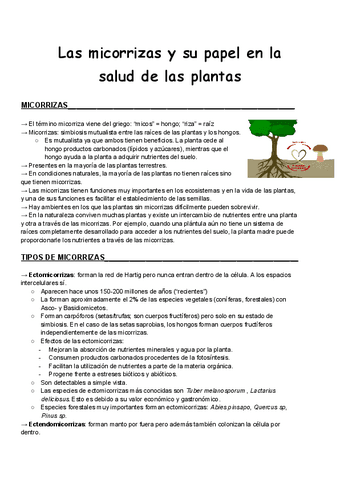 Seminario-1-Las-micorrizas.pdf