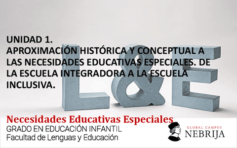 NEE-Clase-Unidad-1.pdf