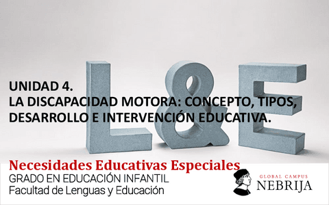 NEE-Clase-Unidad-4-y-5.pdf