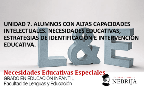 NEE-Clase-Unidad-7-y-8.pdf