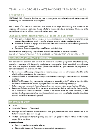 TEMA-16-INFANTIL.pdf