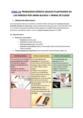 T19.-PROBLEMAS-MEDICO-LEGALES-PLANTEADOS-EN-LAS-HERIDAS-POR-ARMA-BLANCA-Y-ARMAS-DE-FUEGO.pdf
