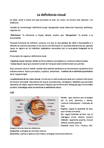 MP04ApuntsDeficienciaVisual.docx.pdf