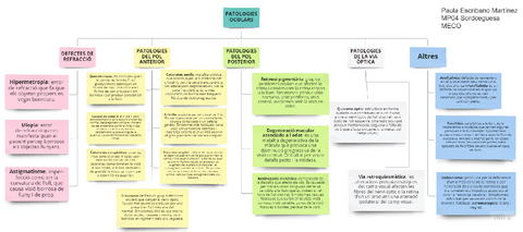 MP04PatologiesOcularsMapa.pdf