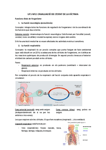 MP11ApuntsUF1NF2.pdf