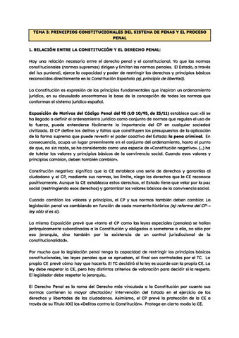 Sistema-de-penas-y-sanciones-tema-3.pdf