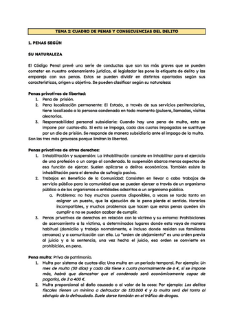 Sistema-de-penas-y-sanciones-tema-2.pdf
