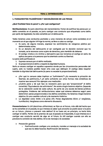 Sistema-de-penas-y-sanciones-tema-1.pdf