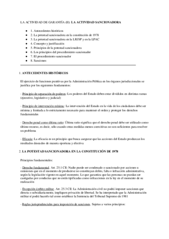 ACTIVIDAD SANCIONADORA.pdf