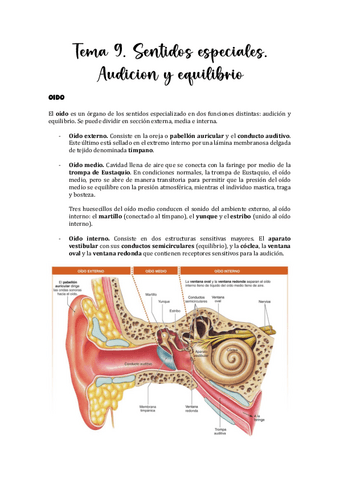 Tema-9.-Sentidos-especiales.-Audicion-y-equilibrio.pdf