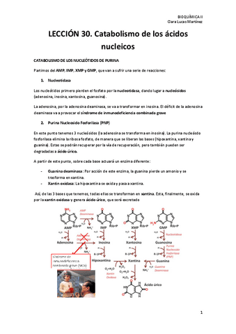 LECCION-30.-Catabolismo-de-los-acidos-nucleicos.pdf