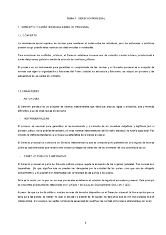 TEMAS-D.PROCESAL APROBADA-UNIDOS.pdf