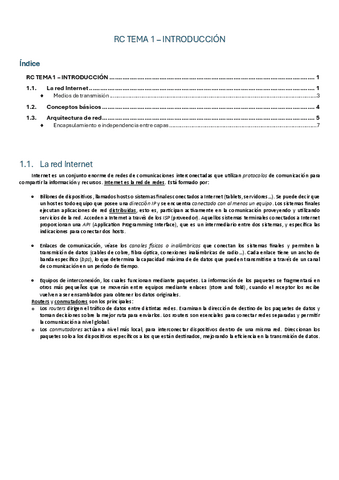 Apuntes-RC-Tema-1.pdf