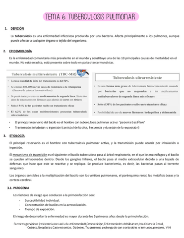 Tema-tuberculosis-pulmonar-AMQ-III.pdf