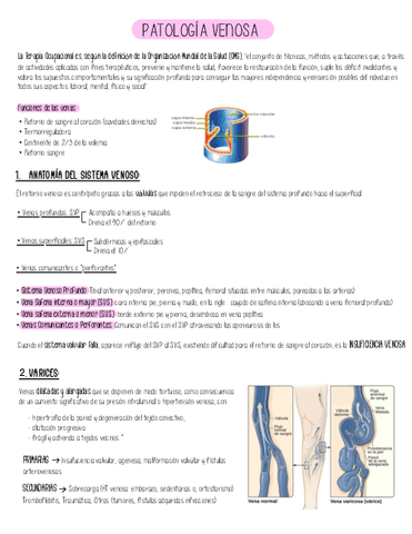 Tema-patologia-venosa-AMQ-III.pdf