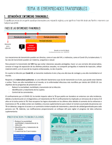 Tema-18-Salud-Publica.pdf