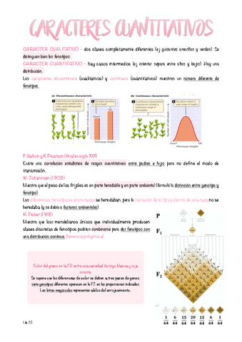 09.-Rasgos-cuantitativos.pdf