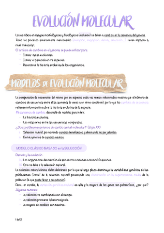 10.-Evolucion-molecular.pdf